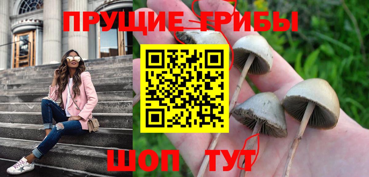 Псилоцибиновые грибы Psilocybine cubensis  Вход с VPN  Галлюциногенные грибы прущие грибы  Саяногорск 